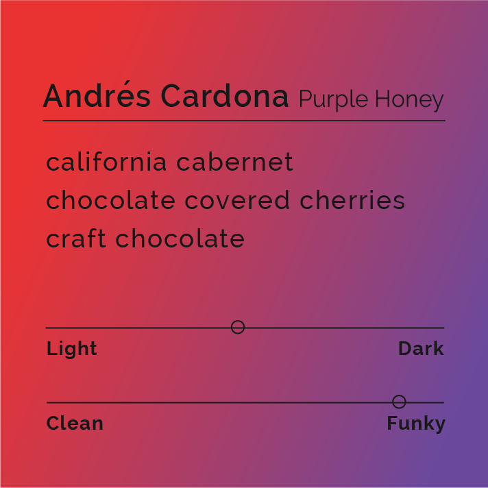 Andrés Cardona - Purple Honey coffee from Villa Lucia farm, highlighting its unique fermentation process and rich, intense flavor profile reminiscent of chocolate and wine.