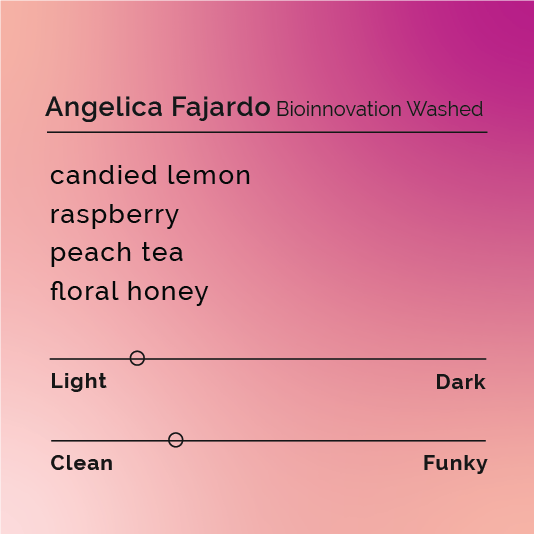 Angelica Fajardo - Bioinnovation Washed coffee, featuring balanced acidity and honey-floral aroma, sourced from the family-run Finca Buenos Aires in Pitalito, Huila, Colombia.