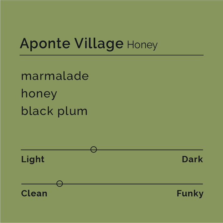 Aponte Village - Honey coffee beans from Aponte, Nariño, Colombia, highlighting the honey processing method with producers Laurano Santa Cruz and Alirio Dominguez.