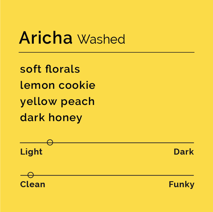 Aricha Washed flavor card highlights soft florals, lemon cookie, yellow peach, and dark honey, with a light roast and clean processing profile.