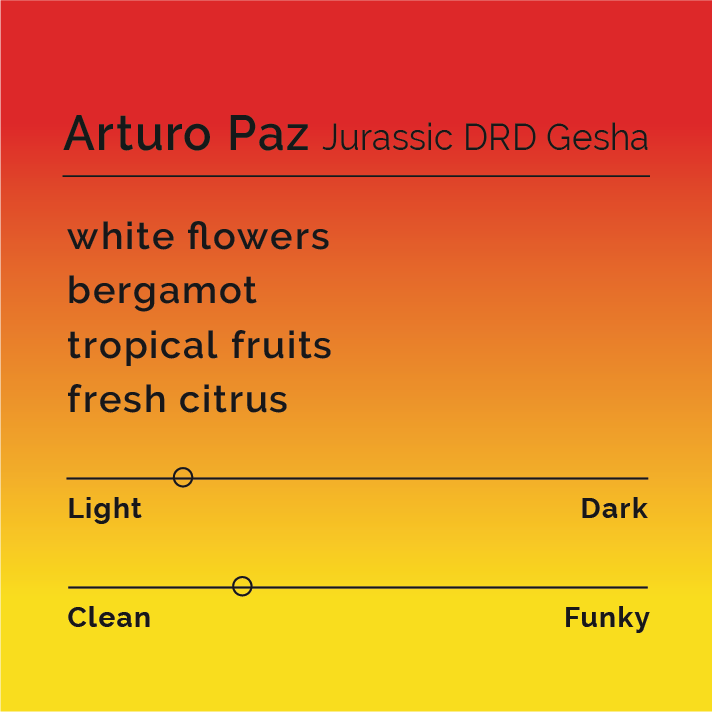 Tasting-note card for Arturo Paz Jurassic DRD Gesha coffee with flavor descriptors: white flowers, bergamot, tropical fruits, fresh citrus, and slider graphics indicating light and clean profiles.