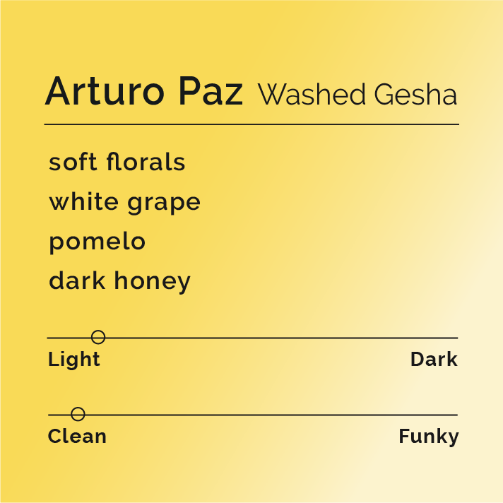 Arturo Paz - Washed Gesha coffee beans from El Itacayo farm, featuring a crisp, clean flavor profile with soft florals and vibrant acidity.
