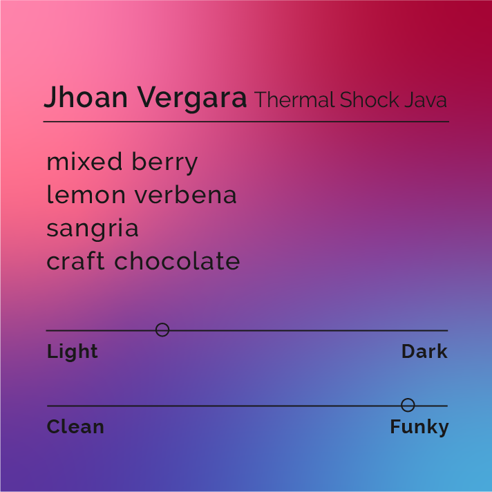 Jhoan Vergara - Thermal Shock Java coffee, showcasing beans from Las Flores farm, highlighting innovative processing methods and rich berry, citrus, and chocolate notes.