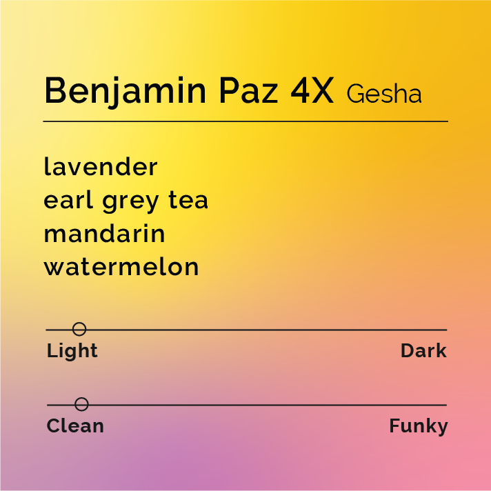 Benjamin Paz 4x Gesha