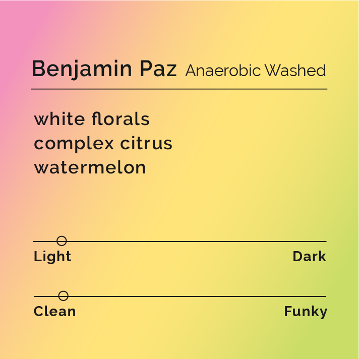 Benjamin Paz - Anaerobic Washed coffee card, featuring black text detailing the producer's relationship and coffee process, emphasizing its unique fermentation and flavor profile.