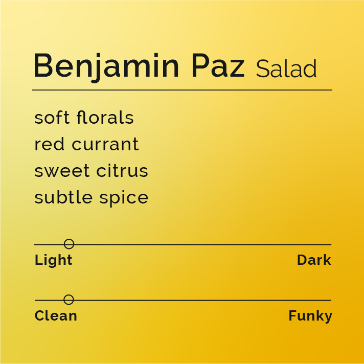 Benjamin Paz Salad packshot