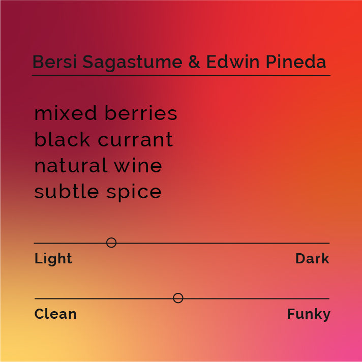 Bersi Sagastume and Edwin Pineda - Natural SL 28 coffee, showcasing SL28 variety beans from Santa Barbara, Honduras, famed for its wine-like flavor profile.