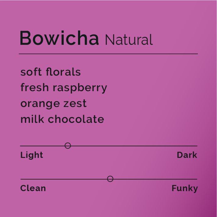 Bowicha Natural coffee flavor-profile card with tasting notes: soft florals, raspberry, orange zest, milk chocolate; Light roast, slightly Funky flavor.