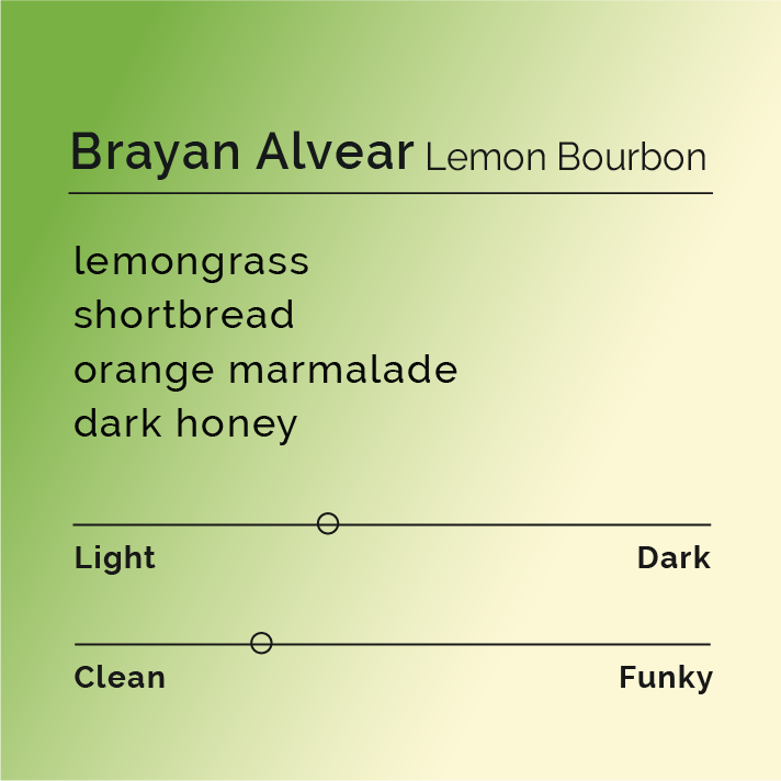 Brayan Alvear - Lemon Bourbon coffee, featuring Pink Bourbon beans, co-fermented with lemon peels and lemongrass, highlighting floral and citrus notes from Acevedo, Colombia.