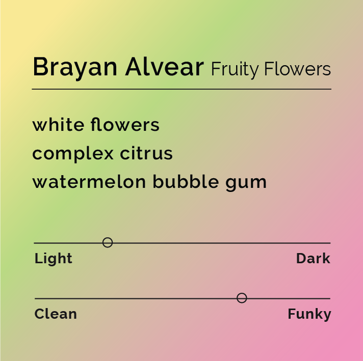 Brayan Alvear - Fruity Flowers tasting-note card featuring white flowers, complex citrus, and watermelon bubble gum, with light flavor and funky character scales.