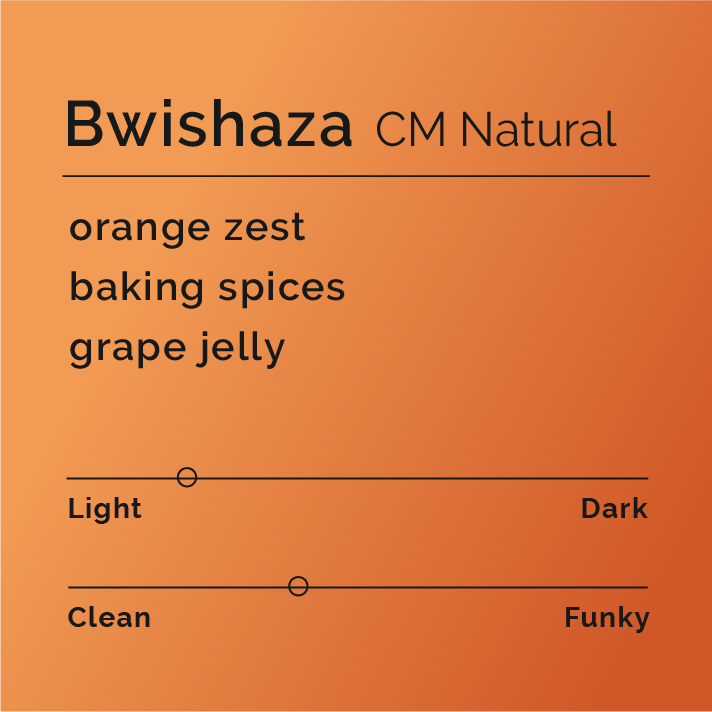 Bwishaza - CM Natural Coffee: Promoting Rwandan women's empowerment through cooperative farming, featuring a fruity, spiced profile from Rutsiro District's high-altitude Arabica beans.