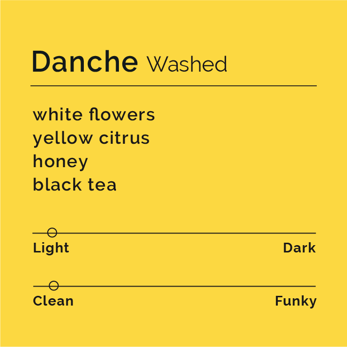 Danche Washed tasting-profile card with flavor notes: white flowers, yellow citrus, honey, black tea. Light and clean coffee sliders highlighted.