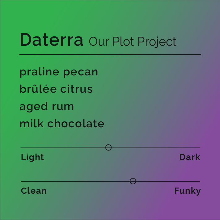 Daterra - Our Plot Project coffee, showcasing carefully processed Yellow Arara beans from Brazil, emphasizing quality, sustainability, and innovative fermentation techniques for a distinct, sweet blend.