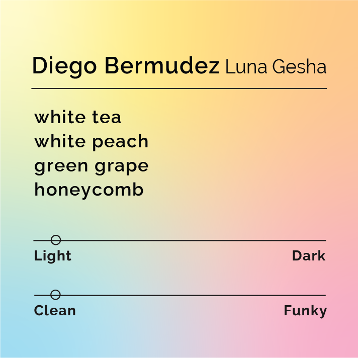 Diego Bermudez Luna Gesha - Black & White Coffee Roasters