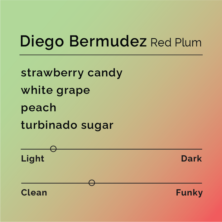 Flavor card for Diego Bermudez Red Plum, featuring tasting notes of strawberry candy, white grape, peach, and turbinado sugar, with light and funky scales.