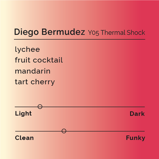 Diego Bermudez - Y05 Thermal Shock coffee, showcasing innovative processing with tropical fruit flavors, produced at Finca El Paraiso in Piendamó, Colombia.