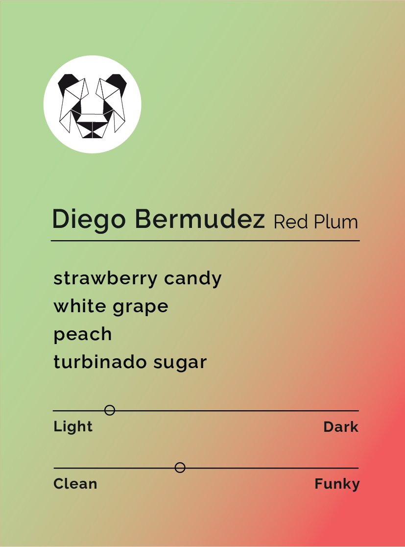 Photo of Diego Bermudez Red Plum