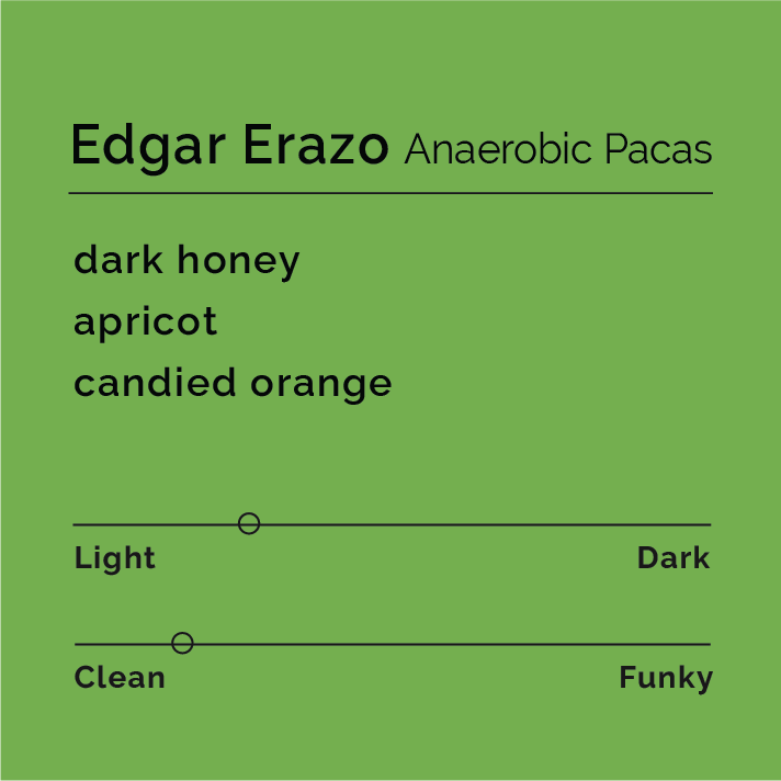 Tasting-note card for Edgar Erazo Anaerobic Pacas coffee, highlighting dark honey, apricot, candied orange flavors; medium-dark roast, clean profile; Santa Barbara, Honduras origin.