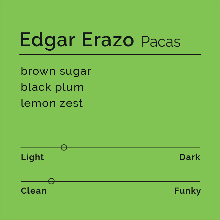 Edgar Erazo - Pacas coffee, featuring washed Pacas beans from Santa Barbara, Honduras; known for intense sweetness, stone fruit notes, and subtle acidity.