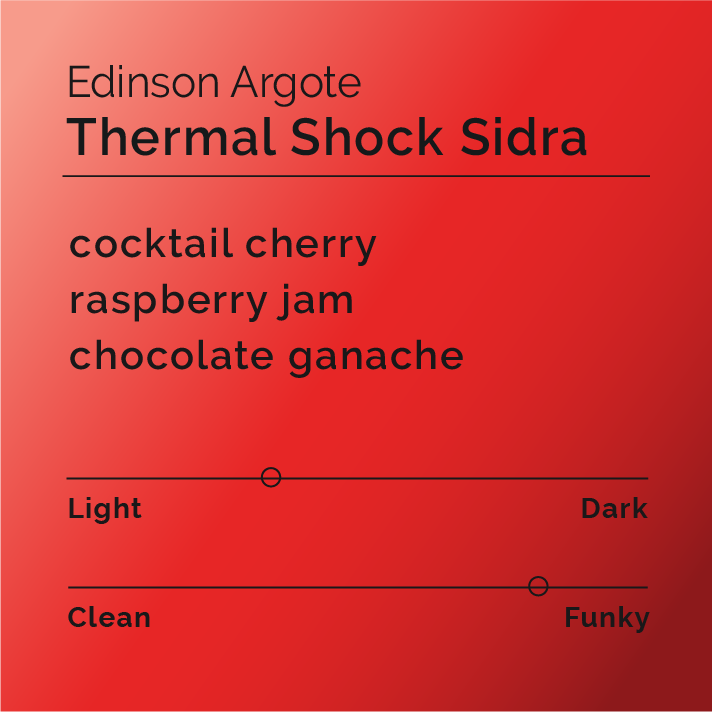 Edinson Argote - Thermal Shock Sidra coffee, showcasing specialty processing methods, emphasizing fermentation and distinct sensory profiles, originating from La Quebradita farm in Colombia.