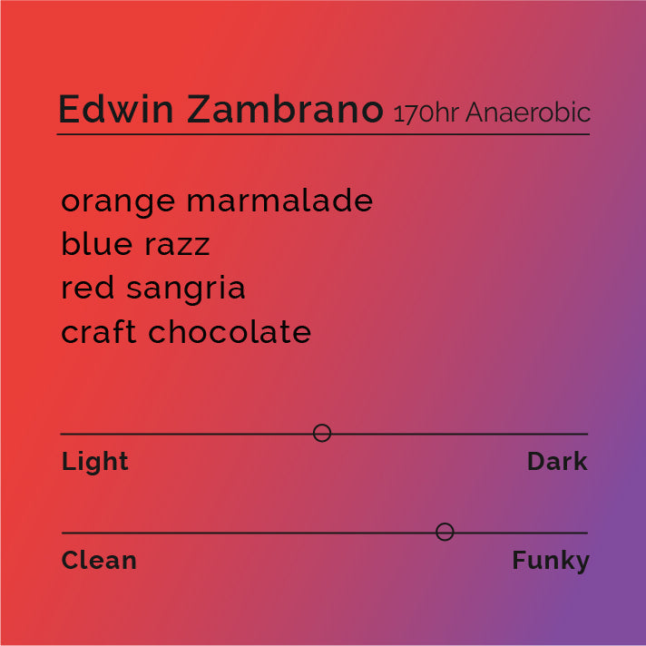 Edwin Zambrano - 170hr Anaerobic Natural coffee cherries, sun-drying on raised beds, showcasing the intricate fermentation process from Finca Buenavista, Huila.