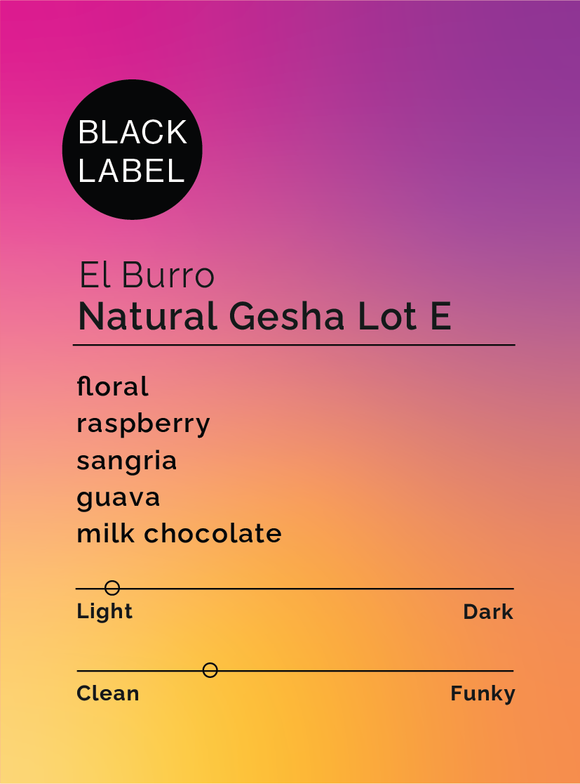 Photo of El Burro Natural Gesha Lot E