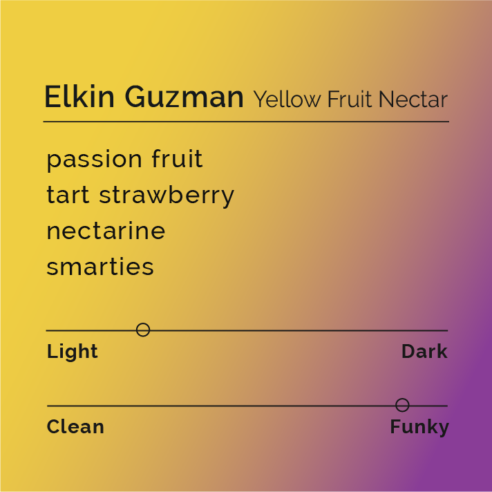 Elkin Guzman - Yellow Fruit Nectar coffee, featuring co-fermented beans from El Mirador farm, showcasing fresh, summery flavors of pineapple, passionfruit, and mango.