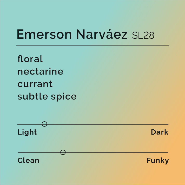 R - Emerson Narváez SL28 coffee, showcasing text highlighting Emerson's journey and coffee process, emphasizing quality and sustainability from the Nariño region.