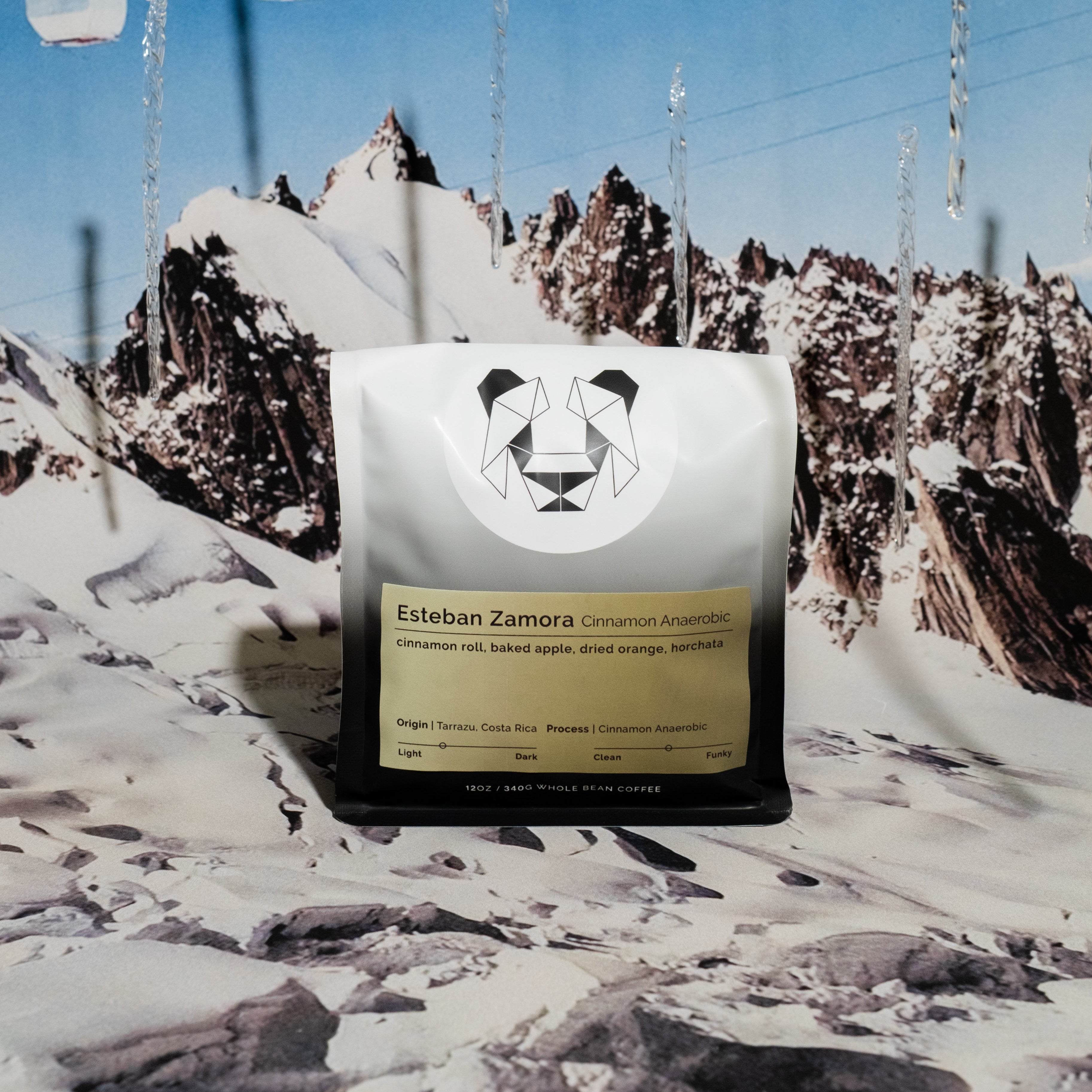 A bag of Esteban Zamora Cinnamon Anaerobic coffee on a snowy background.
