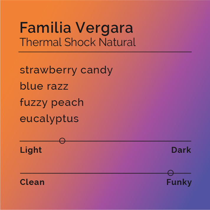 Familia Vergara - Thermal Shock Natural coffee blend featuring Chiroso, Red Bourbon, and Sidra varieties with vibrant, complex flavors from the Vergara family's innovative processes.