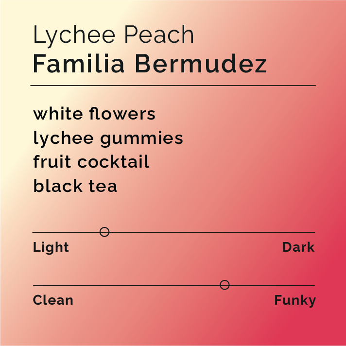 Product label for Familia Bermudez - Lychee Peach with flavor description, mild funk, and lighter roast, on a color gradient background.