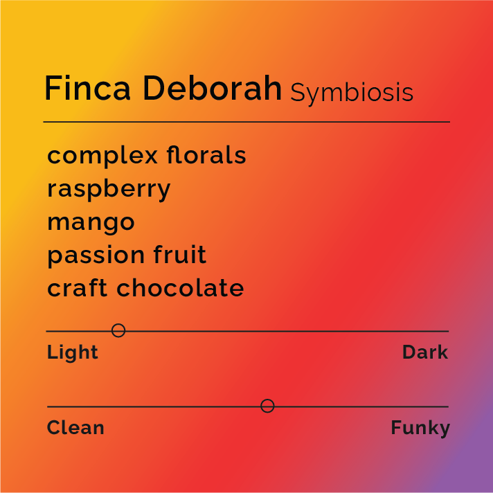 Finca Deborah Symbiosis | Panama - Black & White Coffee Roasters