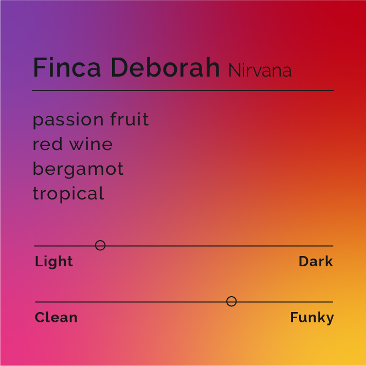 Finca Deborah - Nirvana coffee beans, showcasing Jamison Savage's innovative nitrogen maceration process, highlighting their award-winning flavor complexity from Panama's high-altitude Finca Deborah.