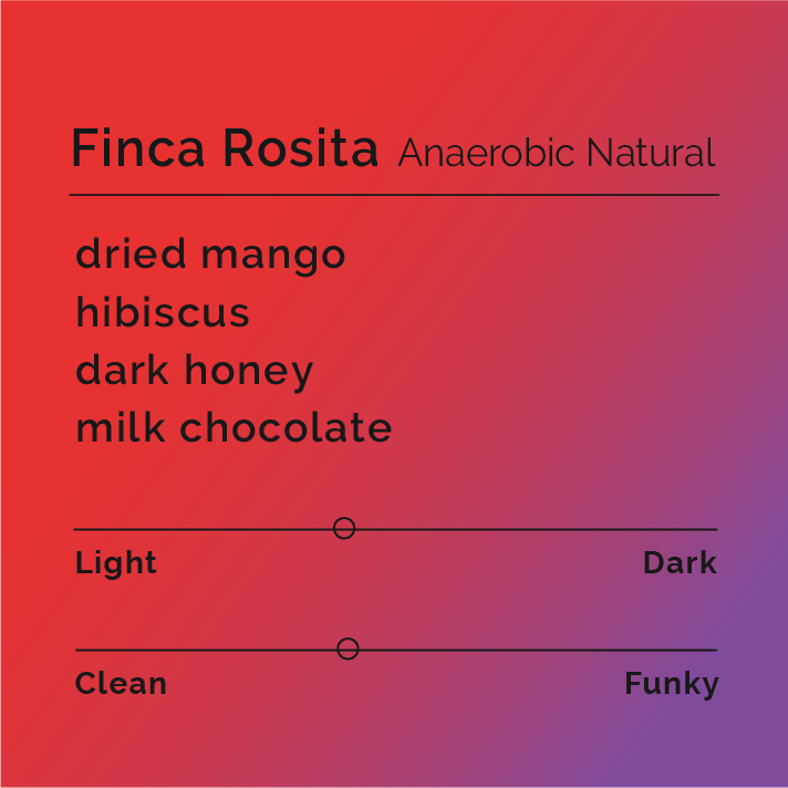 Finca Rosita - Anaerobic Natural coffee, high-grown in Caranavi, Bolivia, known for its soft floral notes, tropical dried fruit flavors, and vibrant acidity.
