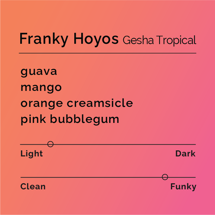 Product label for Franky Hoyos - Gesha Tropical with flavor description, higher funk, and lighter roast, on a color gradient background.
