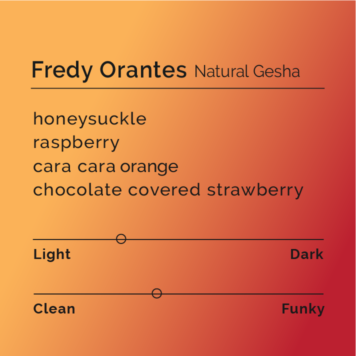 Fredy Orantes Natural Gesha - Instant Coffee, featuring 6 pouches, highlighting notes of honeysuckle, raspberry, and chocolate-covered strawberry, from Santa Rosa, Guatemala.