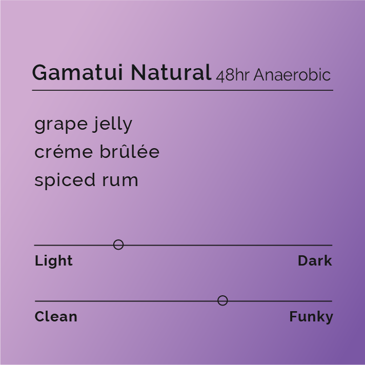 Gamatui Natural - 48hr Anaerobic coffee, featuring grape-like flavors and spiced rum notes, sourced from Uganda's Gamatui Community, processed at Sipi Falls Washing Station.