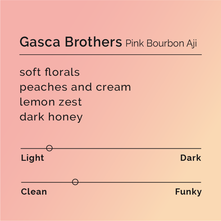 Gasca Brothers Pink Bourbon Aji - Instant Coffee, packaged in six pouches, offers floral, peach, lemon zest, and honey notes. Perfect for quick, flavorful coffee or lattes.