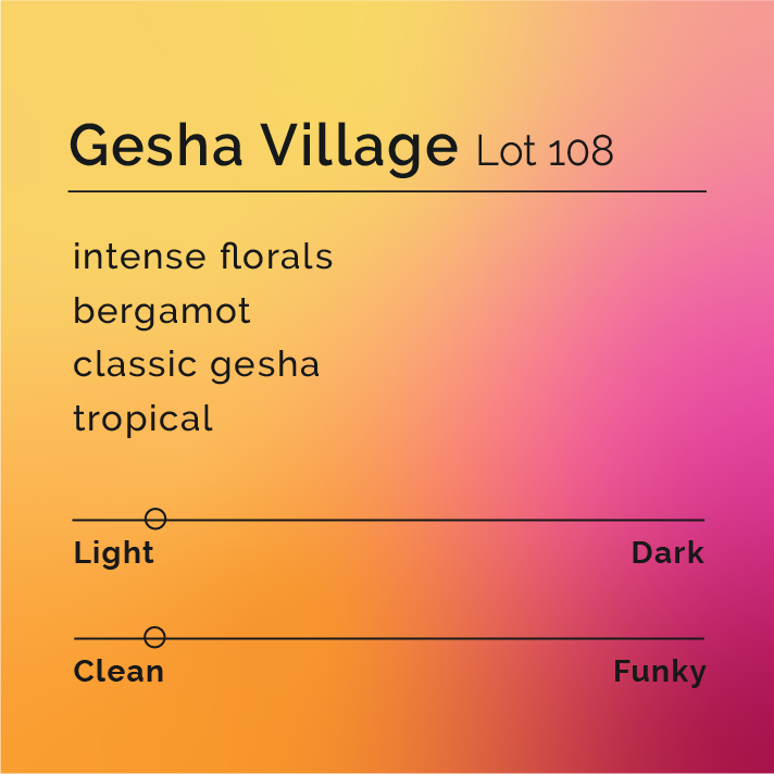 Gesha Village - Lot 108 coffee, depicted in packaging, represents a premium natural process coffee from Ethiopia's Gesha Village, known for its unique floral and citrus flavors.