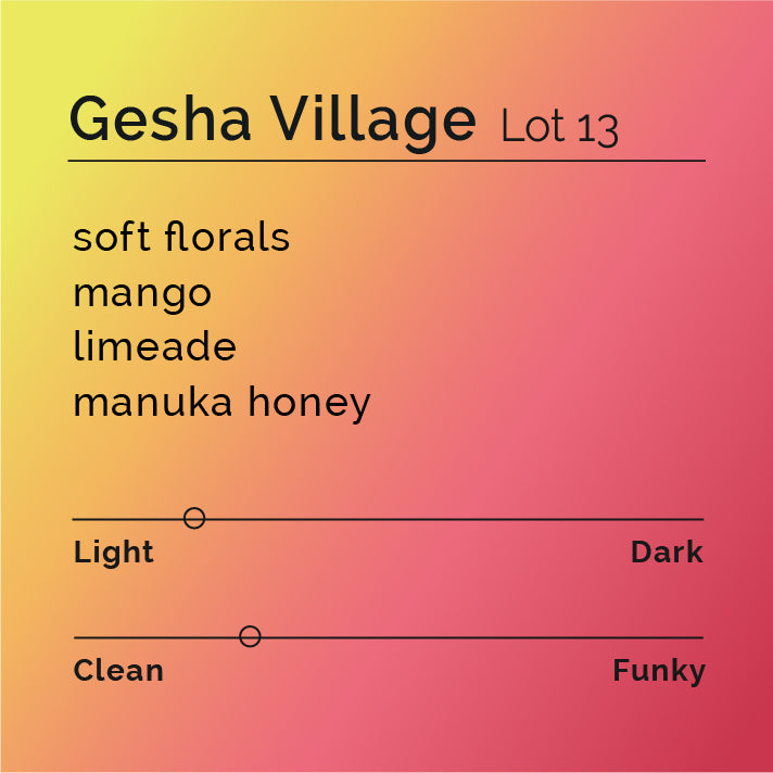 Gesha Village - Gori Gesha Lot 13 coffee bag displayed, highlighting its Ethiopian origin and natural process, renowned for fruity, floral notes from Gesha Village Estate.