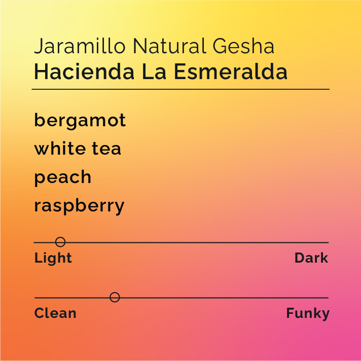 Jarmillo Natural Gesha tasting card from Hacienda La Esmeralda with flavor notes: bergamot, white tea, peach, raspberry; light roast, clean flavor.