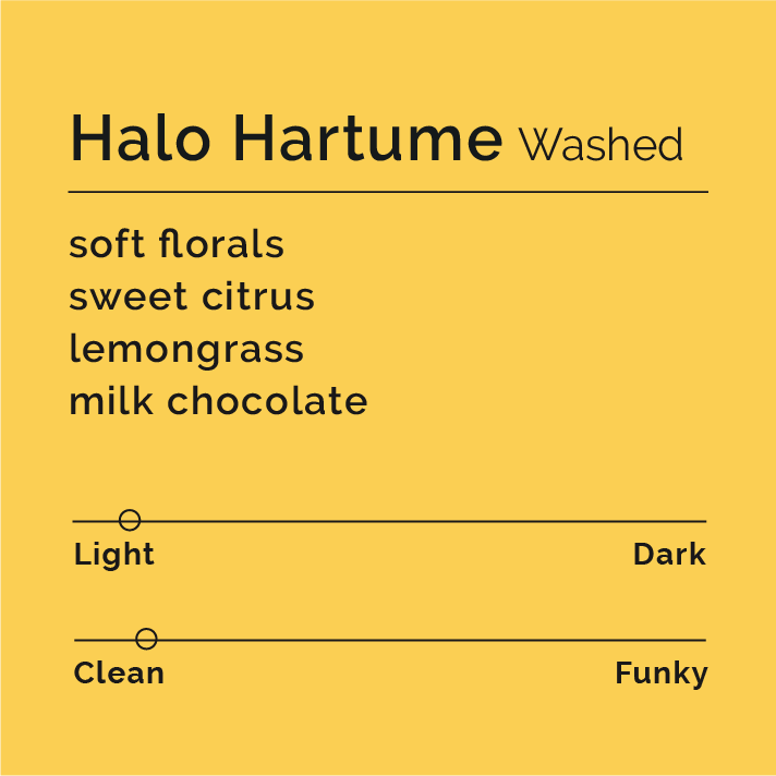 Halo Hartume - Washed coffee packaging, showcasing Ethiopian origin and artisanal processing details from Gedeb by producer Mijane Worassa, emphasizing traceability and flavor uniqueness.