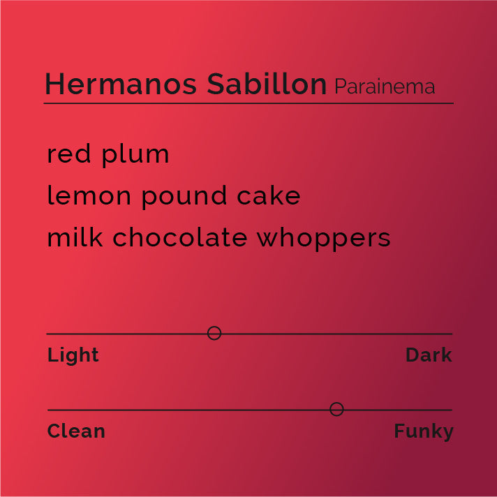 Hermanos Sabillon - Parainema Natural coffee, featuring handpicked beans from Santa Barbara, Honduras, processed naturally for distinct red fruit and confectionary sweetness.