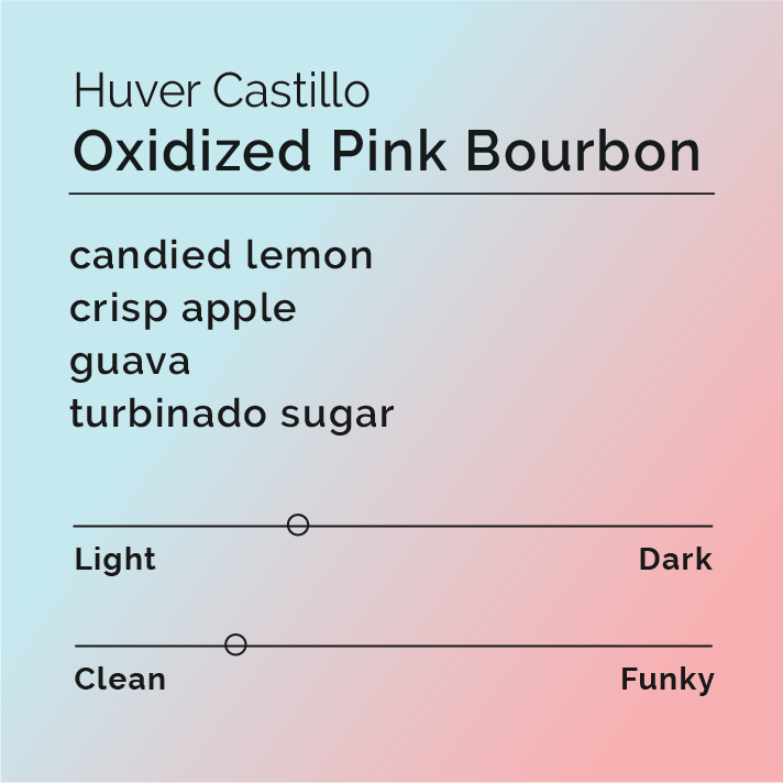 Huver Castillo - Oxidized Pink Bourbon coffee beans, highlighting the specialty processing and rich fruit notes, from El Paseo farm in Nariño, Colombia.