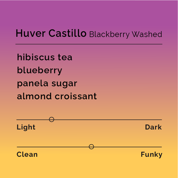Huver Castillo Blackberry Washed - Black & White Coffee Roasters
