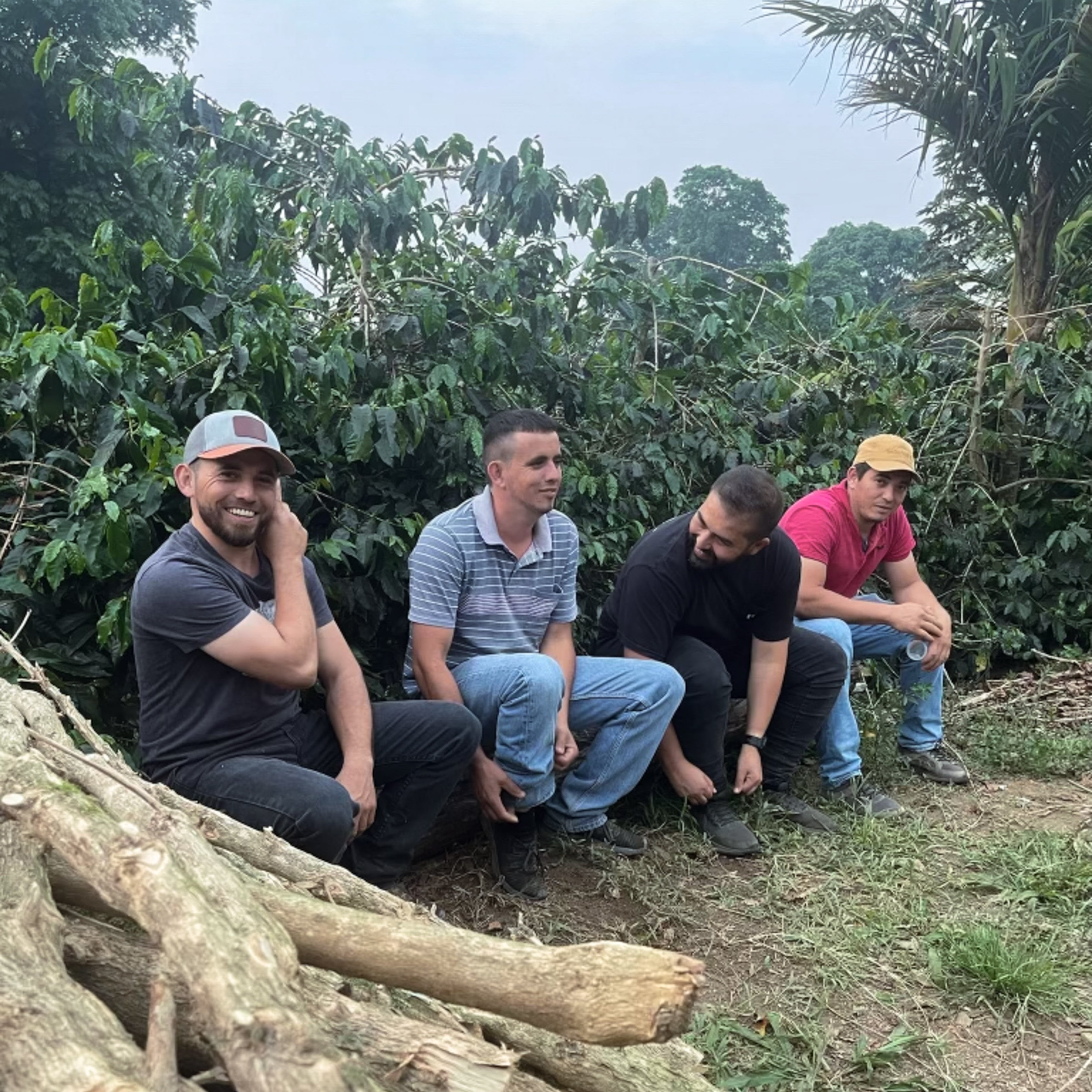 Yeltsin Sagastume - COE 20 coffee bag from Honduras, featuring Maracaturra beans, highlighting anaerobic fermentation process and tropical flavor notes, like mango and blackberry.