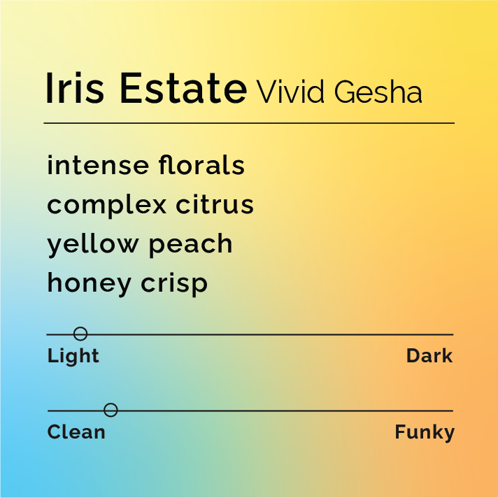 Iris Estate Vivid Gesha tasting note card with flavor profile: intense florals, complex citrus, yellow peach, honey crisp, showing light roast and clean cup character.