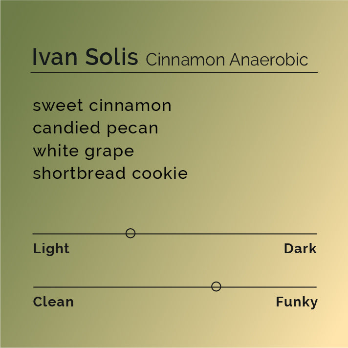 Ivan Solis - Cinnamon Anaerobic coffee, featuring a refined anaerobic washed process with cinnamon, highlighting notes of sweet cinnamon, shortbread, and white grape.