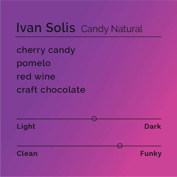 Ivan Solis - Candy Natural coffee showcasing innovative processing with whole coffee cherries, emphasizing unique fermentation methods for intense flavors of dark chocolate and red wine.
