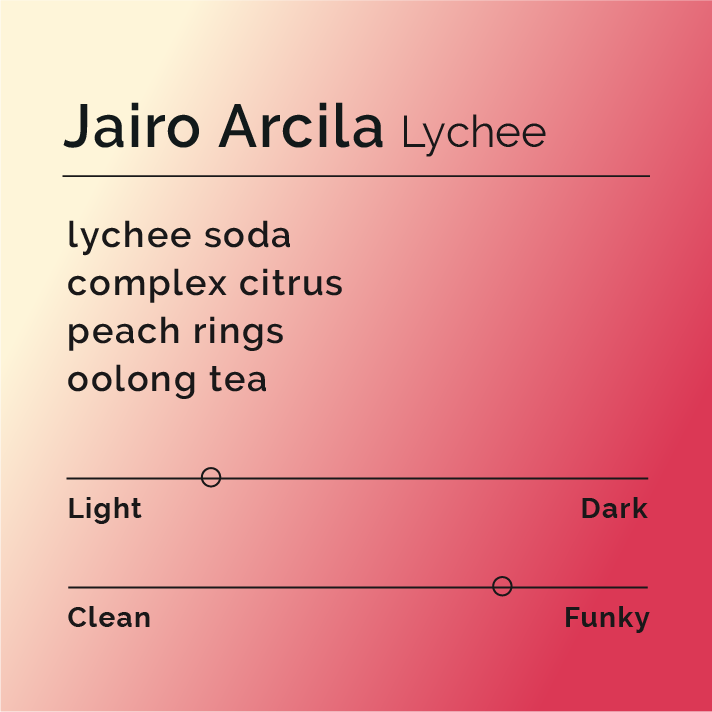 Jairo Arcila Lychee flavor profile card with tasting notes: lychee soda, citrus, peach rings, oolong tea, light roast, funky character.
